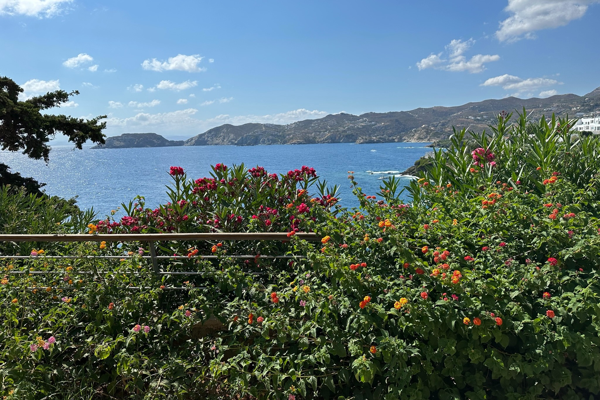 Crete is captivating with its rich history, diverse landscapes, and vibrant culture.