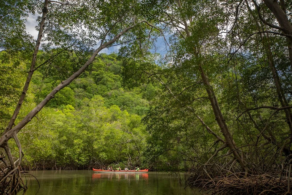 people in a kayak surrounded by trees during daytime