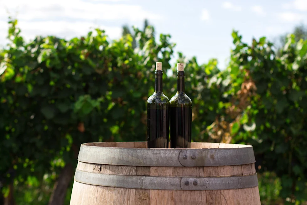 two bottles of red wine sit on a barrel in front of a winery