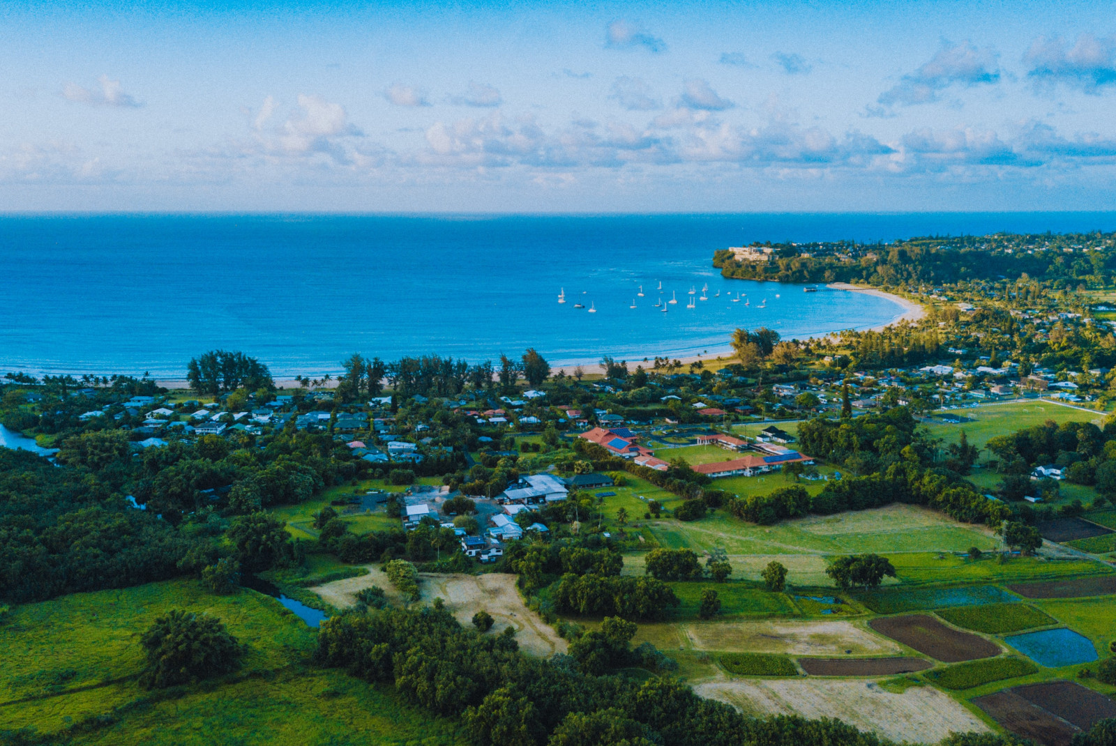 Aerial view of trees, grassy area and ocean during daytime