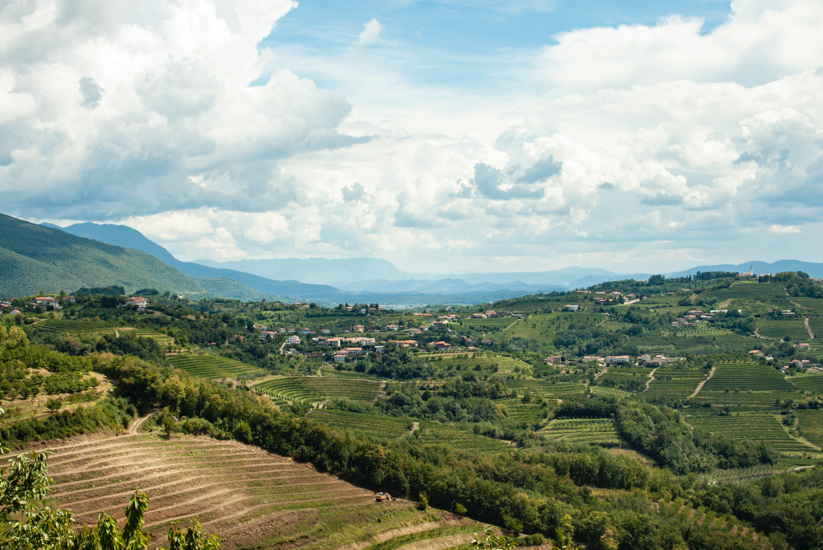 Green valley with clouds in the sky during daytime