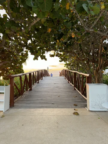 A wooden bridge beneath abundant trees leading down a pathway to the beach. 