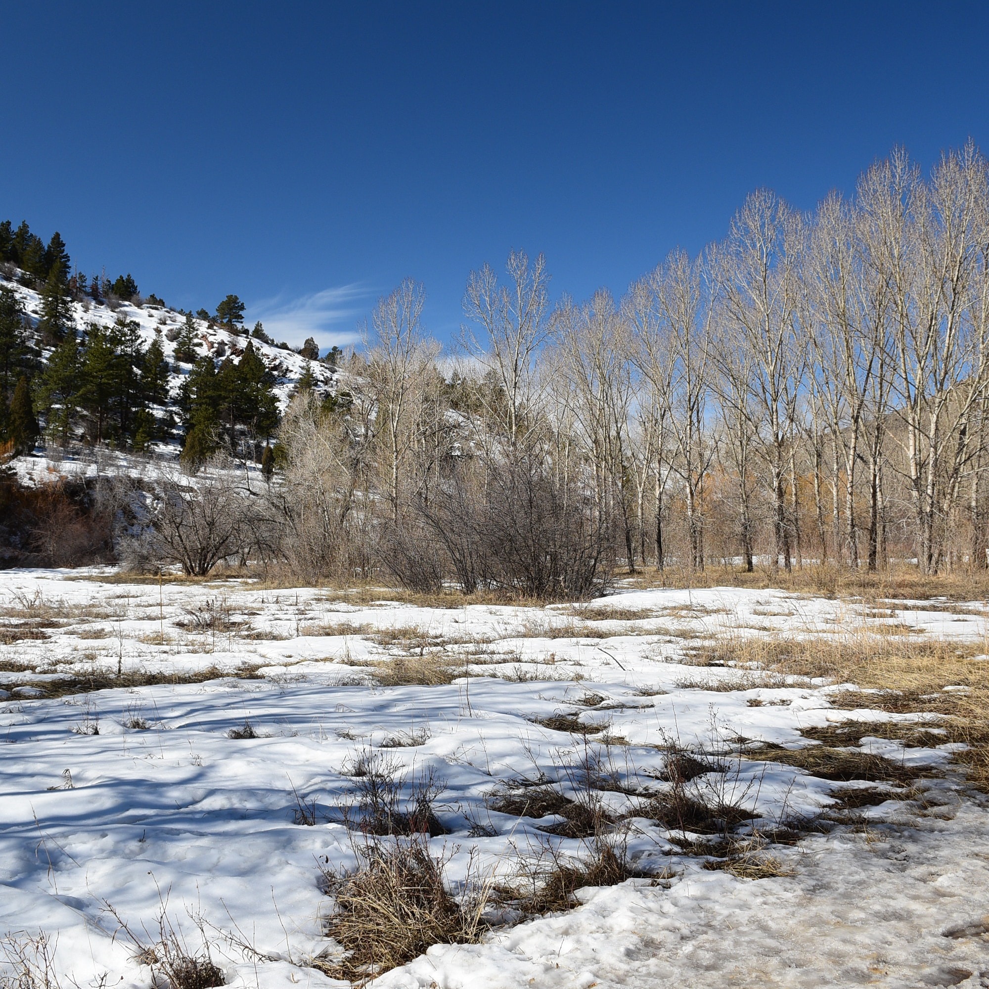 Visiting Steamboat Springs, CO