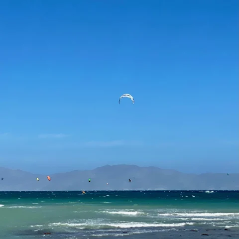 body of water with kites in the sky during daytime