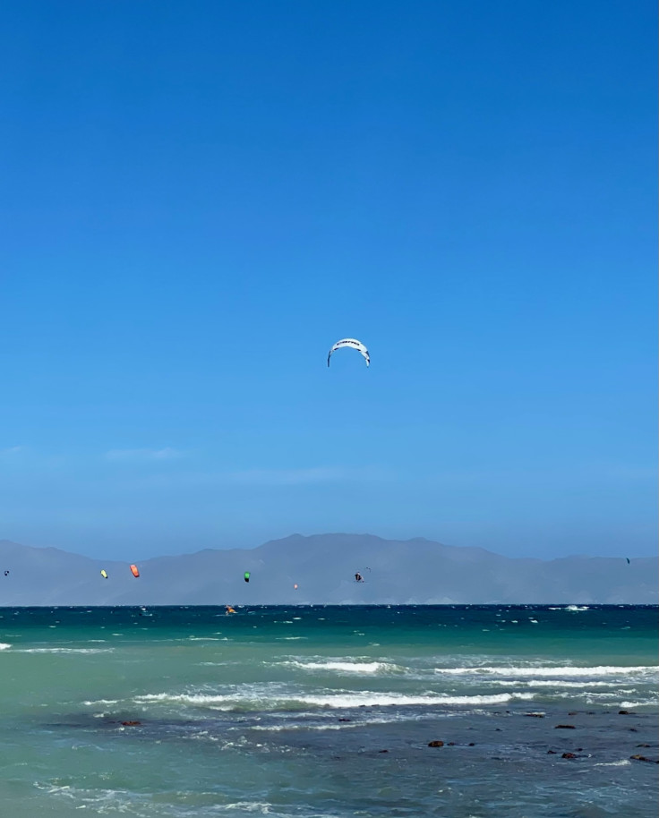 body of water with kites in the sky during daytime
