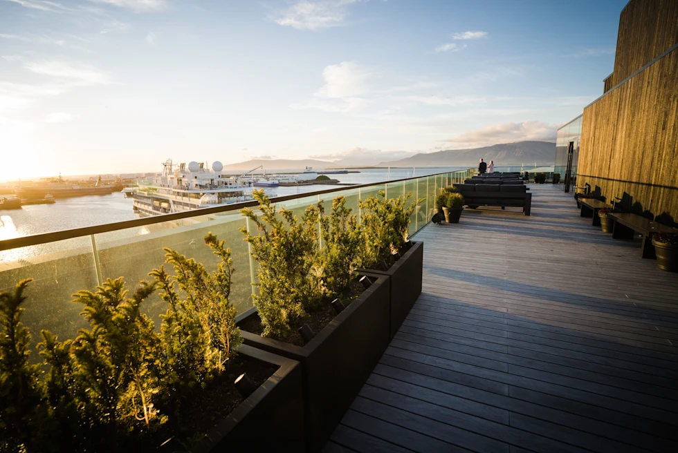 Rooftop with garden boxes overlooking city during daytime