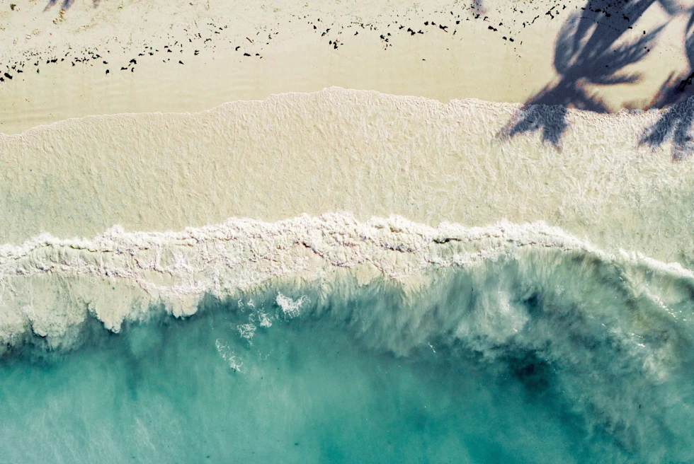 aerial view of a white-sand beach