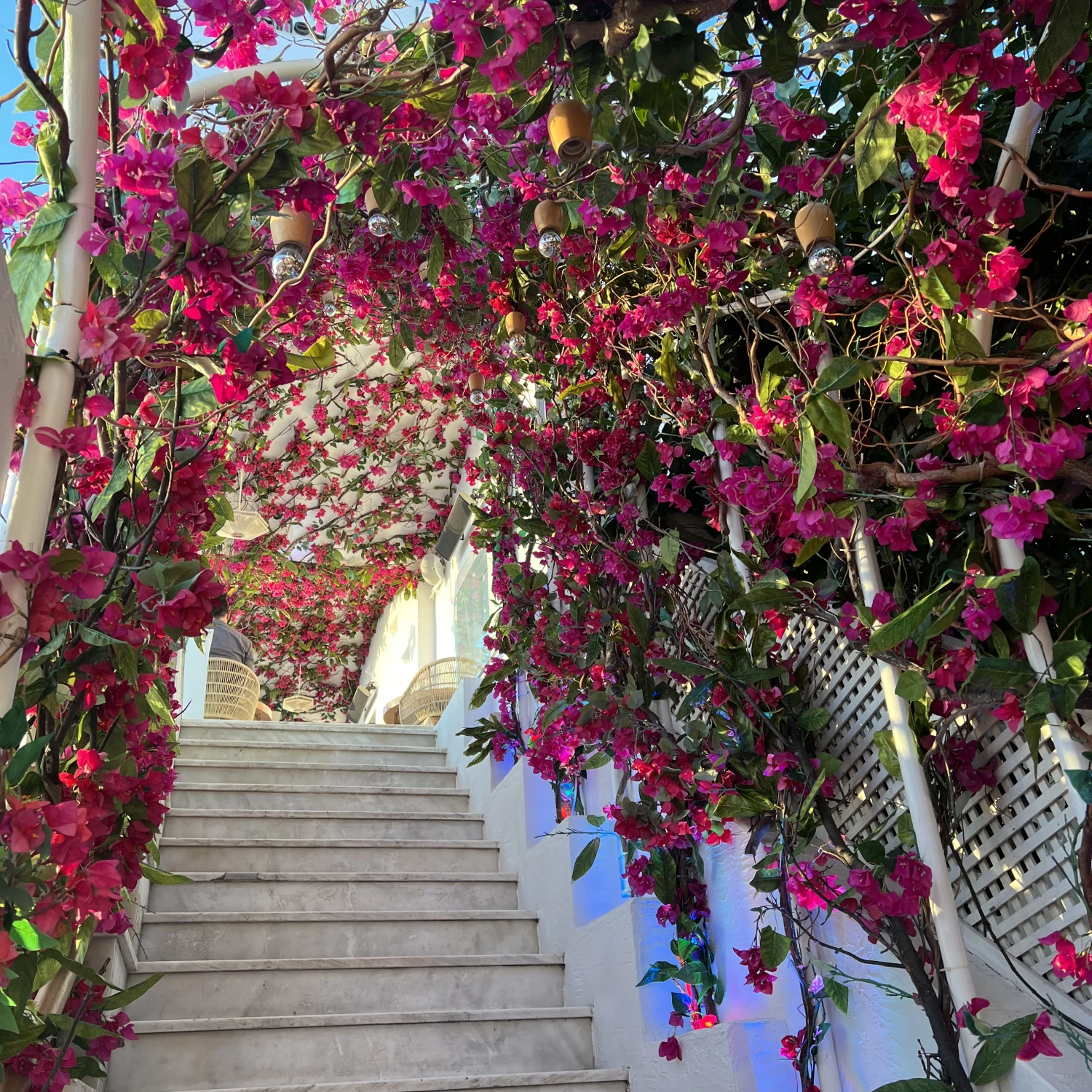 View of stairs covered with flowers tree