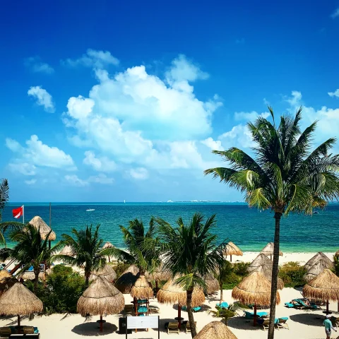 Lounge chairs and straw umbrellas with palm trees and the ocean in the distance with clouds in the sky