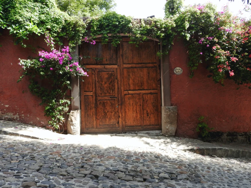 Wooden door covered in plants and purple flowers on cobblestone street