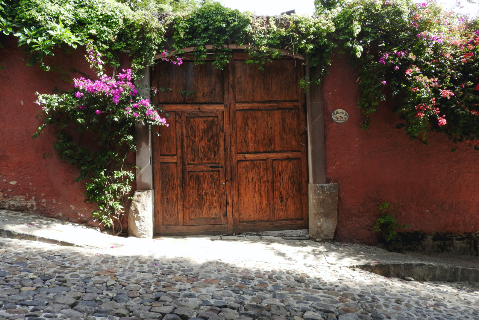 Wooden door covered in plants and purple flowers on cobblestone street