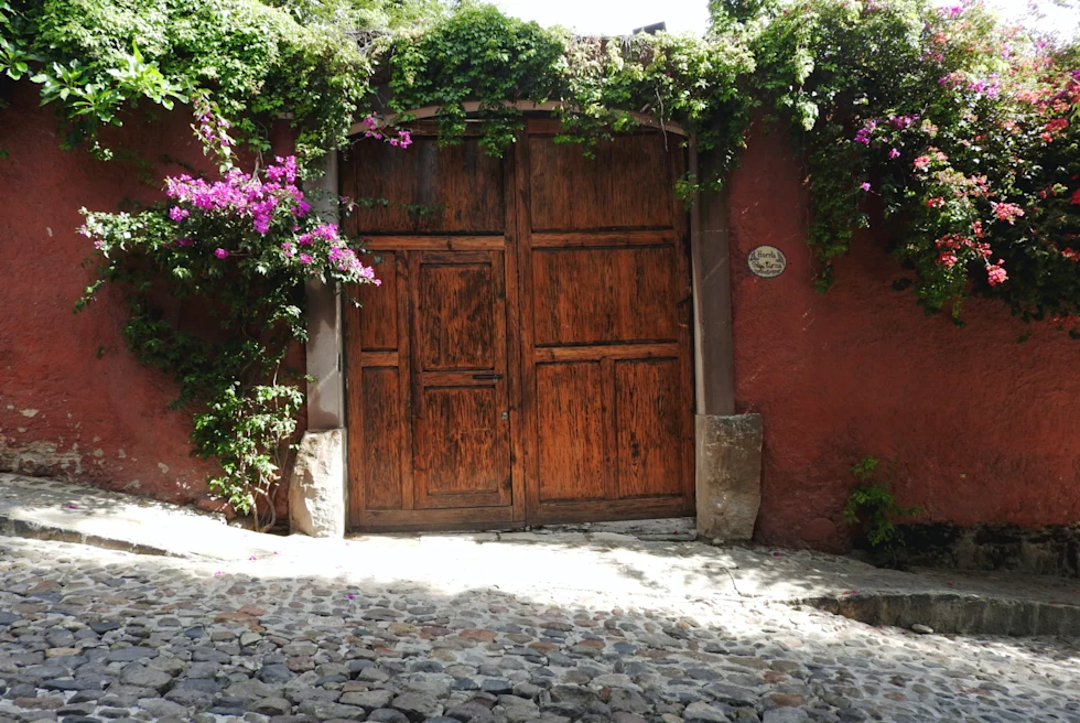 Wooden door covered in plants and purple flowers on cobblestone street