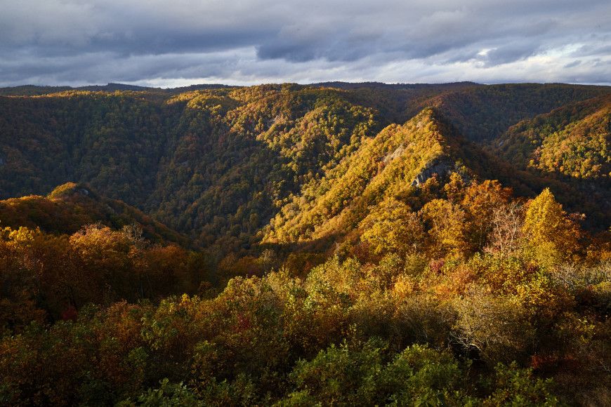 a vast forested mountain covered with orange and red trees