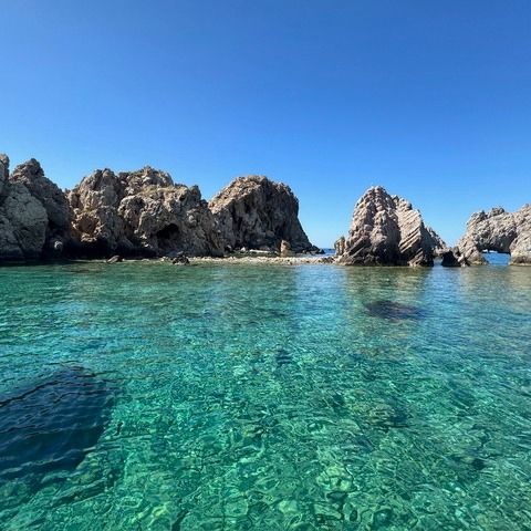 Lisa Livingston | Fora Travel