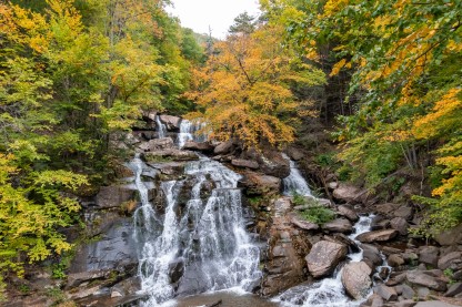 Advisor - Weekend Guide to Upstate New York