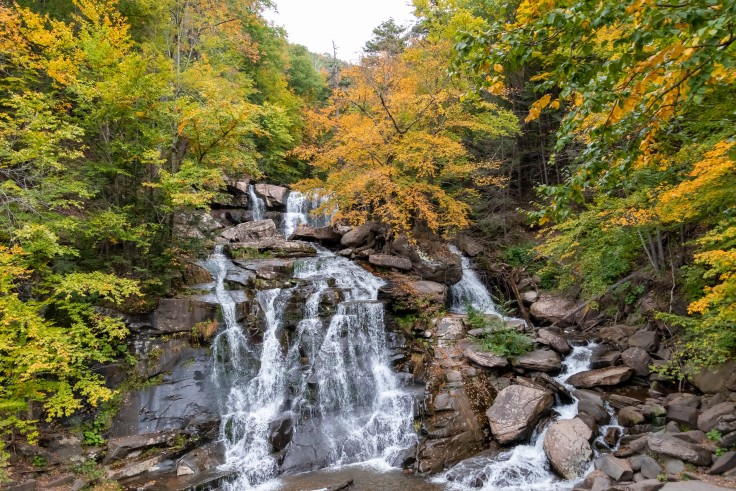 Weekend Guide to Upstate New York curated by Michelle Zelena
