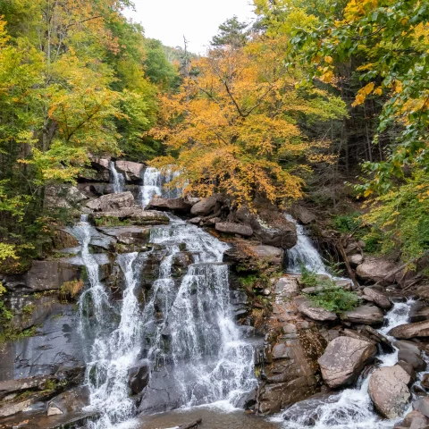 Weekend Guide to Upstate New York curated by Michelle Zelena