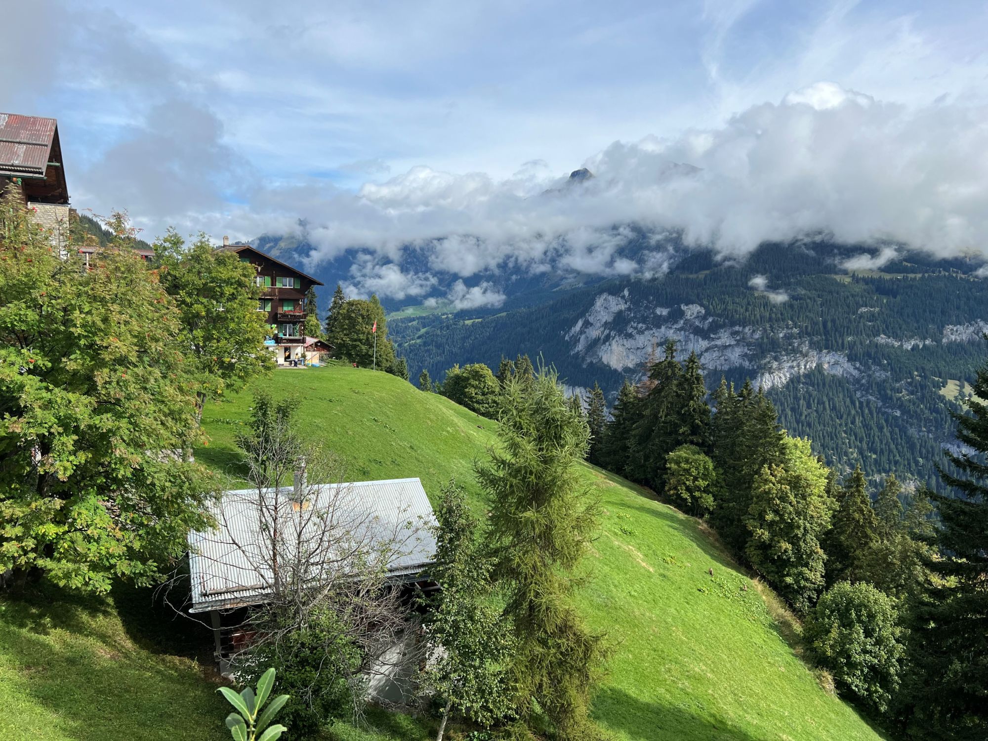 chambres de l'Hotel Victoria Lauberhorn : photos et avis