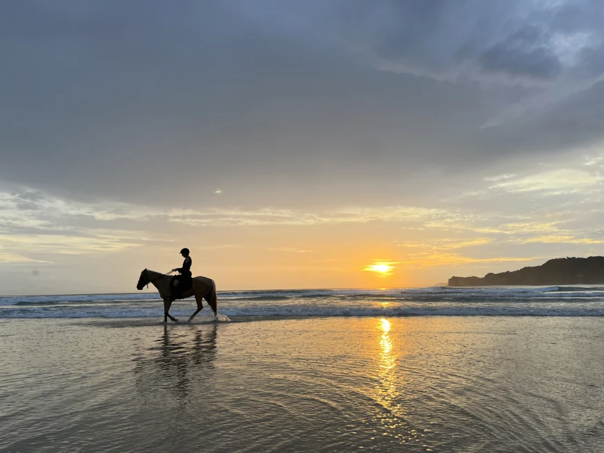 person riding a horse in the ocean during sunset