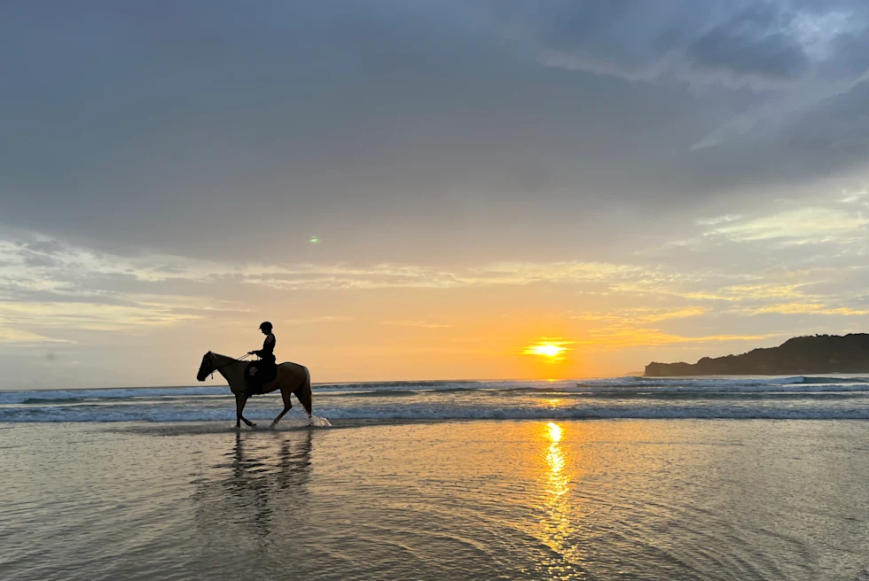 person riding a horse in the ocean during sunset