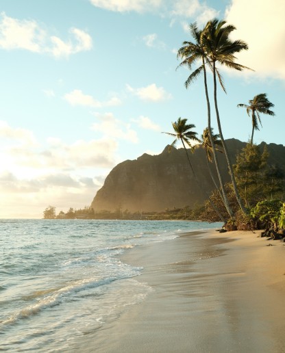 Advisor - Beach-Lover's Guide to Oahu, Hawai'i