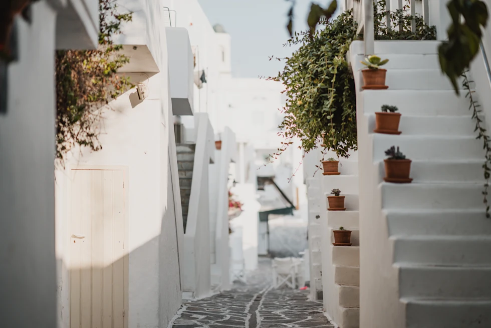 White-washed streets lined with bougainvillea in Paros, Greece.