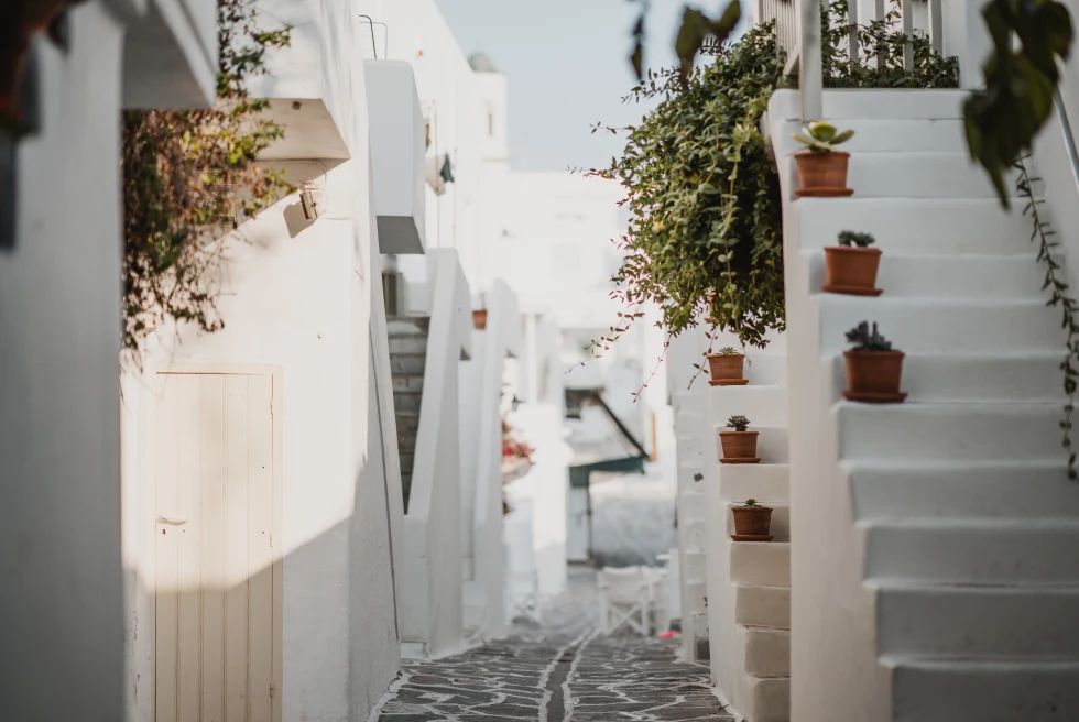 White-washed streets lined with bougainvillea in Paros, Greece. 