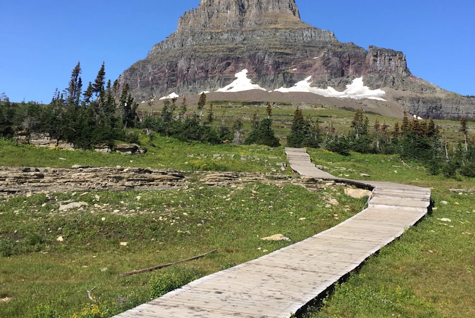 a boardwalk over grass leads to a rock cliff