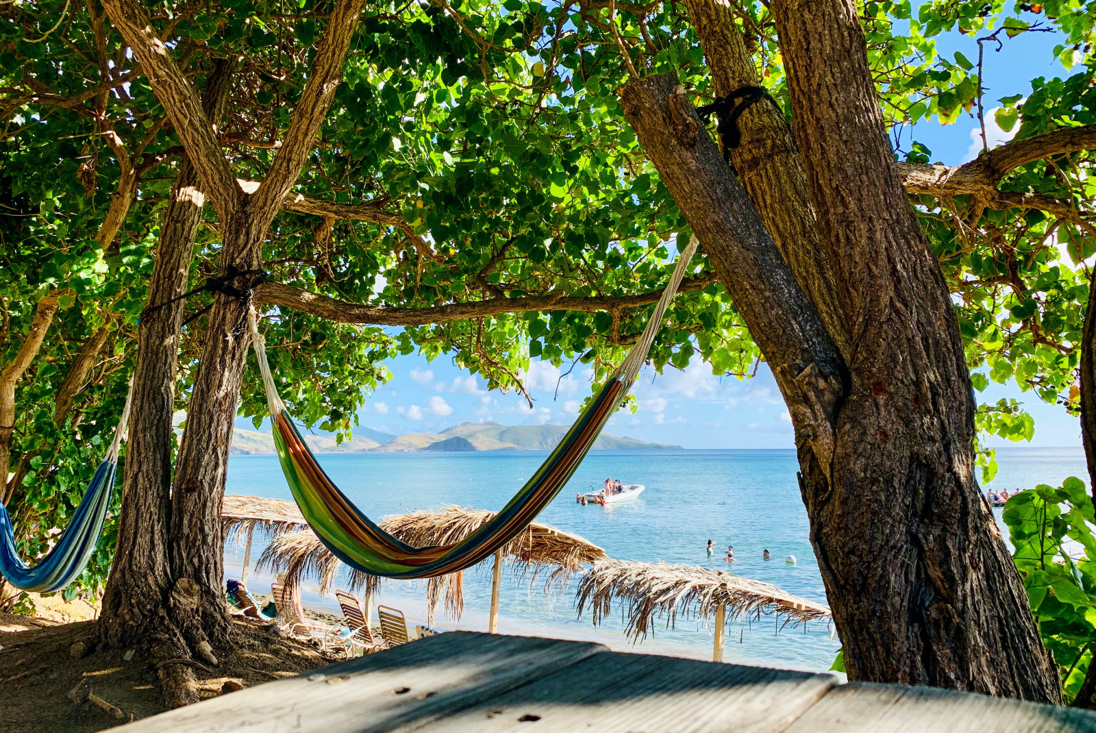 a rainbow colored hammock tied between two green and brown trees with blue ocean backdrop 