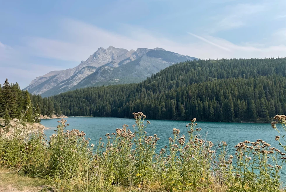 lake with wild flowers in the mountains