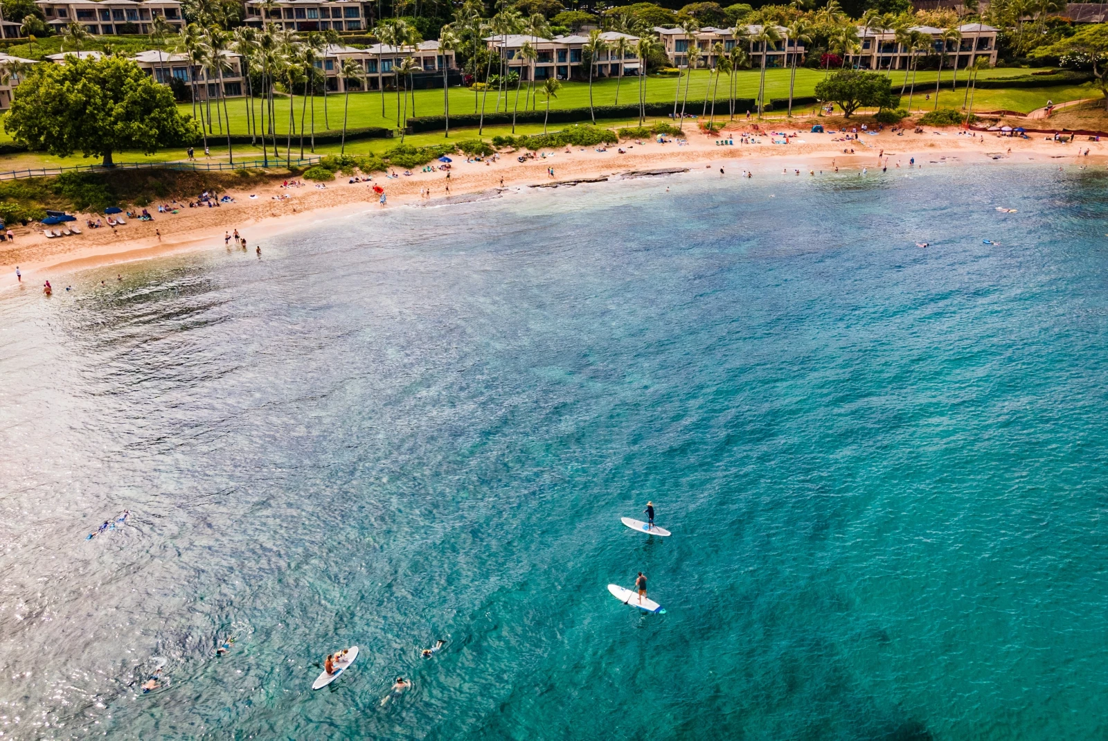 Aerial view of beach with people surfing.