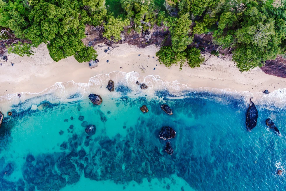 aerial view of a white-sand beach and turquoise sea