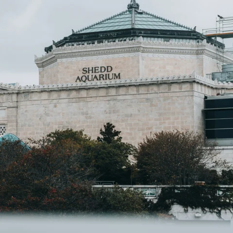 A picture of a building named as Shedd Aquarium during daytime.