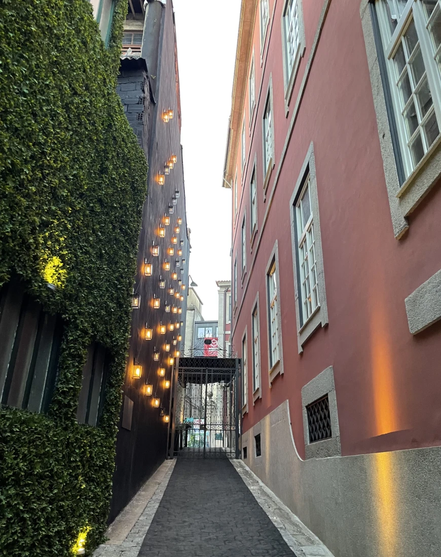 A narrow alleyway between 2 buildings during daytime