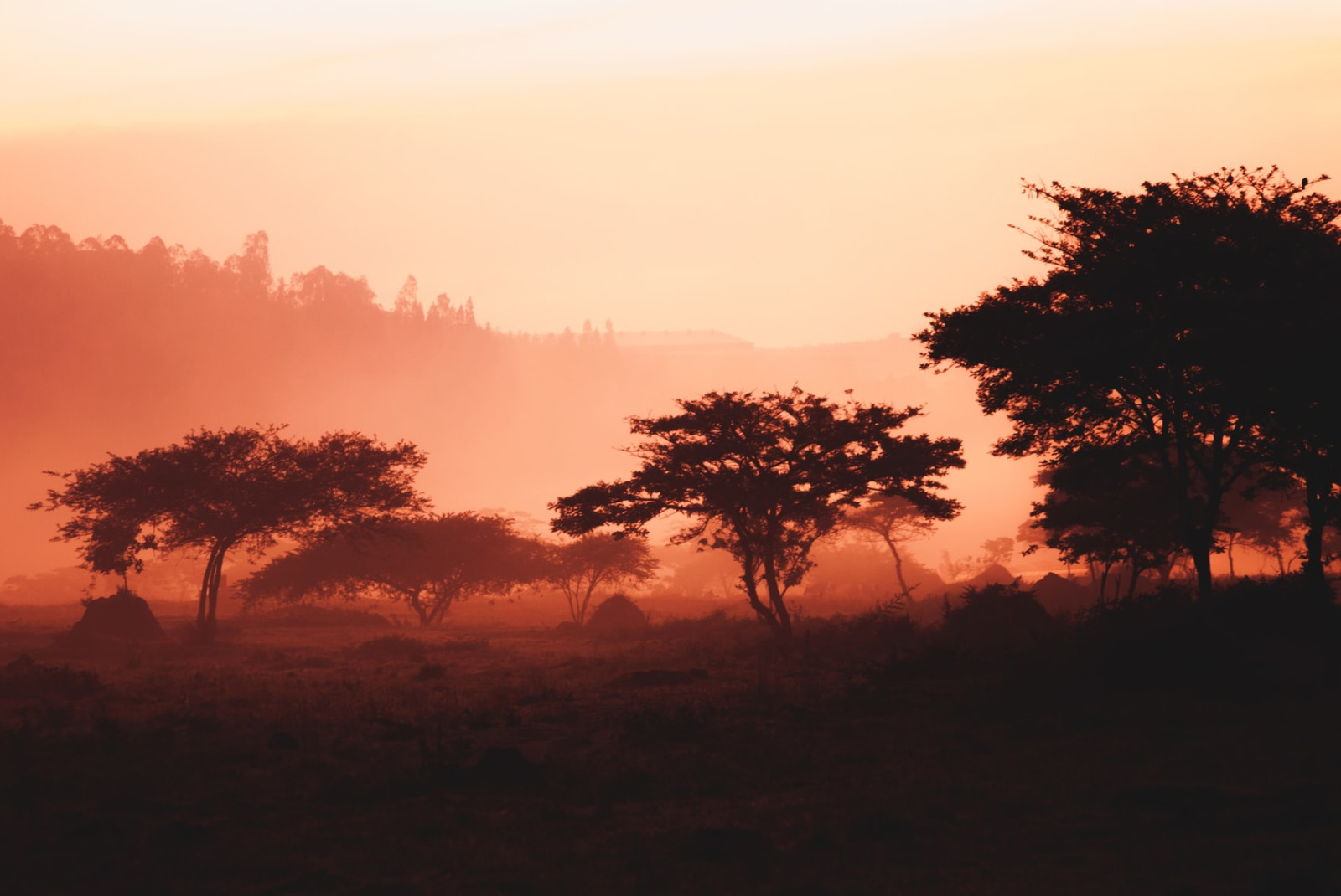 rwanda kigali africa sunset with red tones and trees