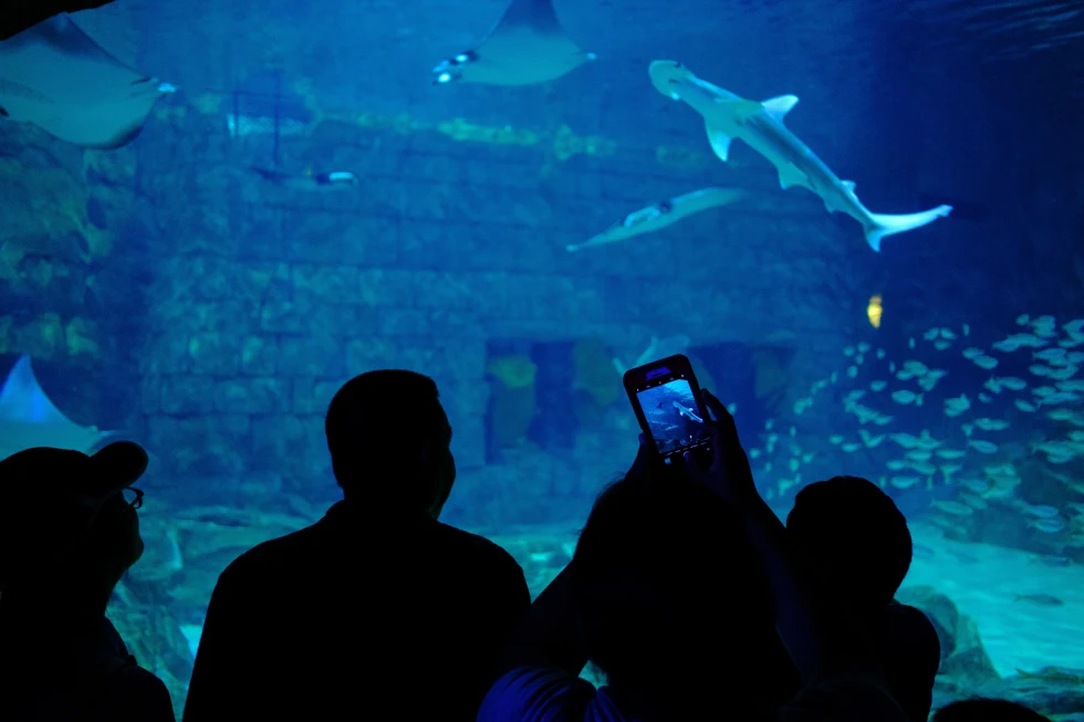 People in front of an aquarium tank. 