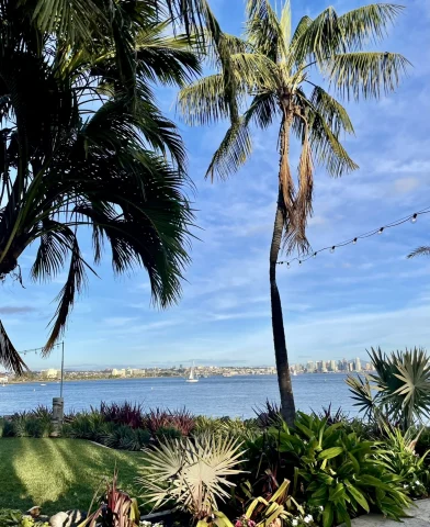 A view of a various tropical plants and palm trees in front of blue water and a city skyline in the distance. 