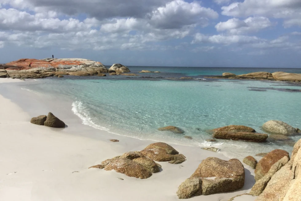 beach with rocks