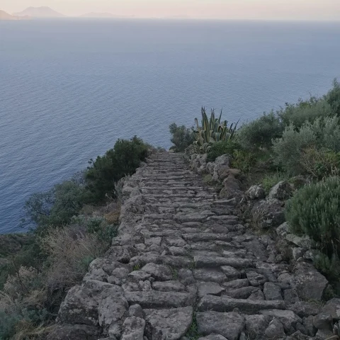 A stair case towards sea during daytime. 