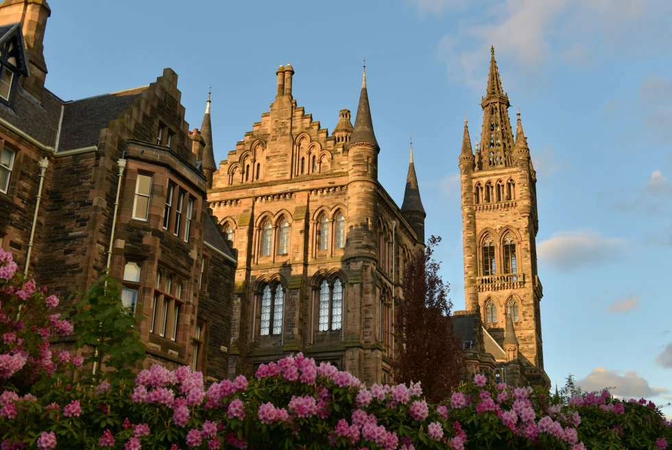 The ancient architecture of Glasgow framed by pink flowers.