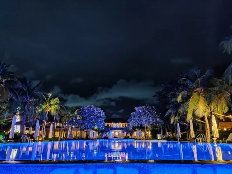 A large blue lit swimming pool with palm trees and a luxurious building in the distance. 