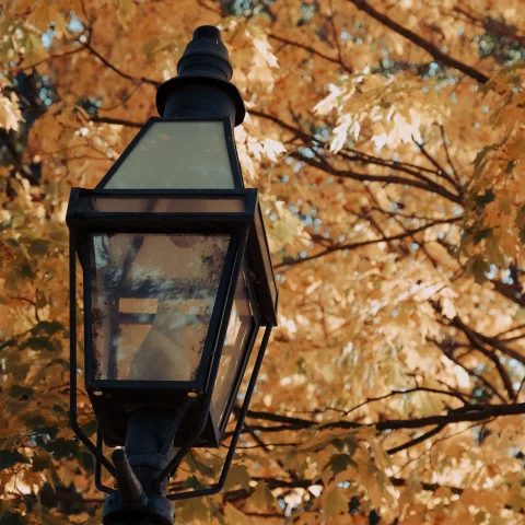 an old lamp post in front of yellow fall leaves