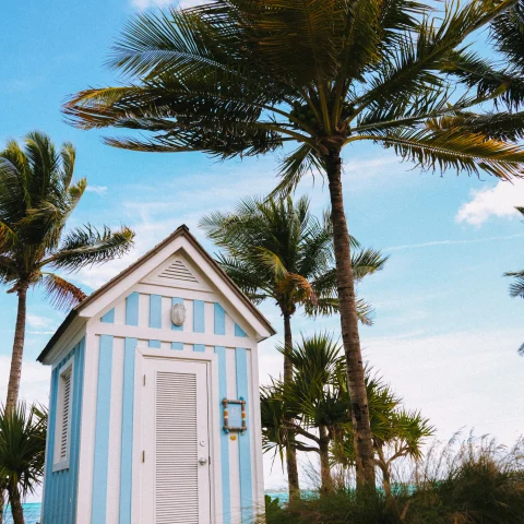 A striped house and palm trees in the Bahamas. 