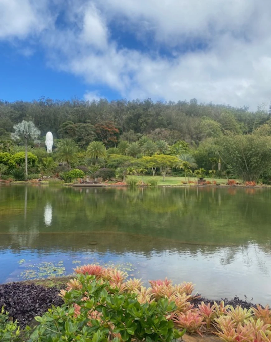 A picture of a reflective pond with various plants and trees in the surrounding area beneath a cloudy blue sky. 