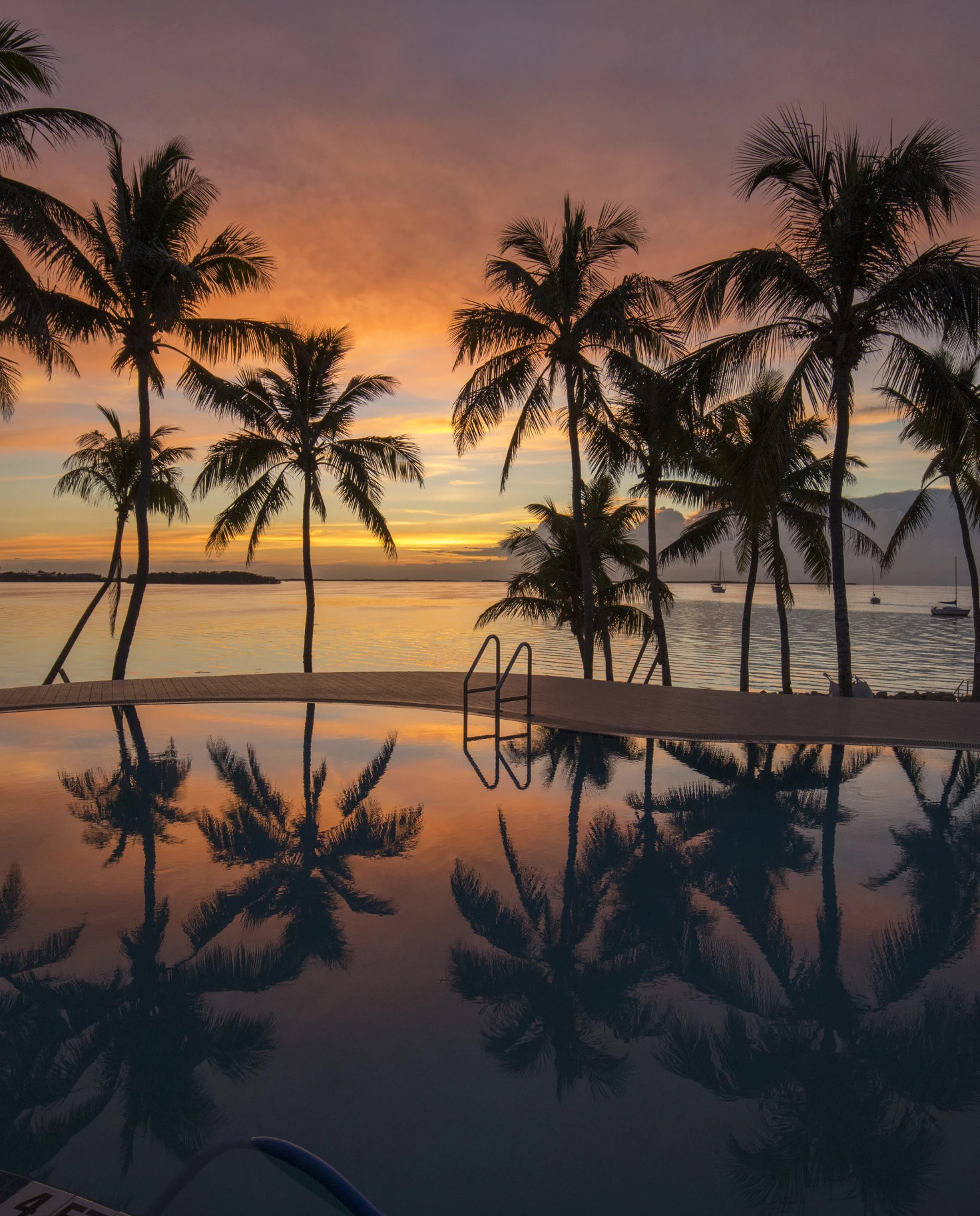 palm trees next to a pool during sunset