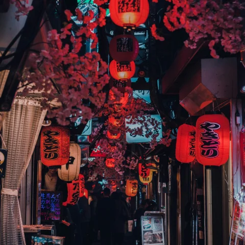 One of the famous streets to visit in Japan, decorated with red hanging lanterns and flowers
