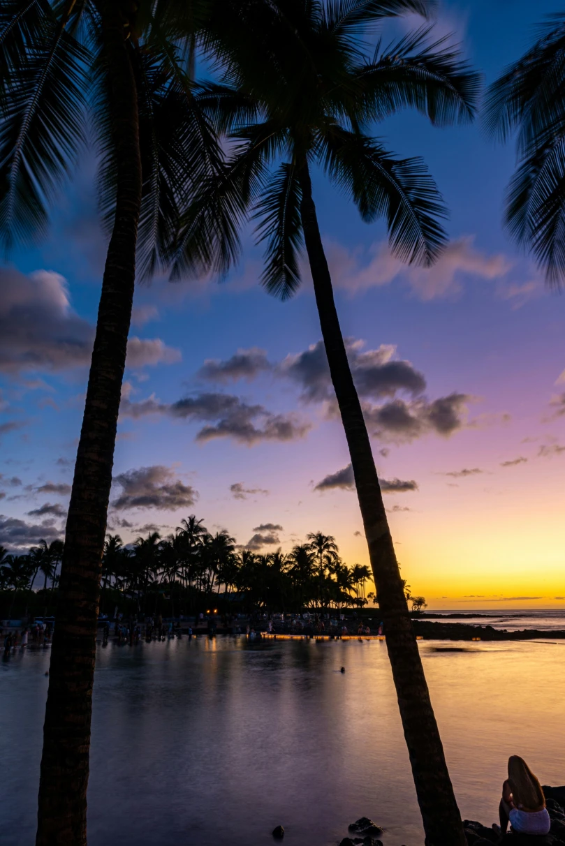 A picture of a silhouette of palm trees during sunrise, near where to stay on the Big Island.