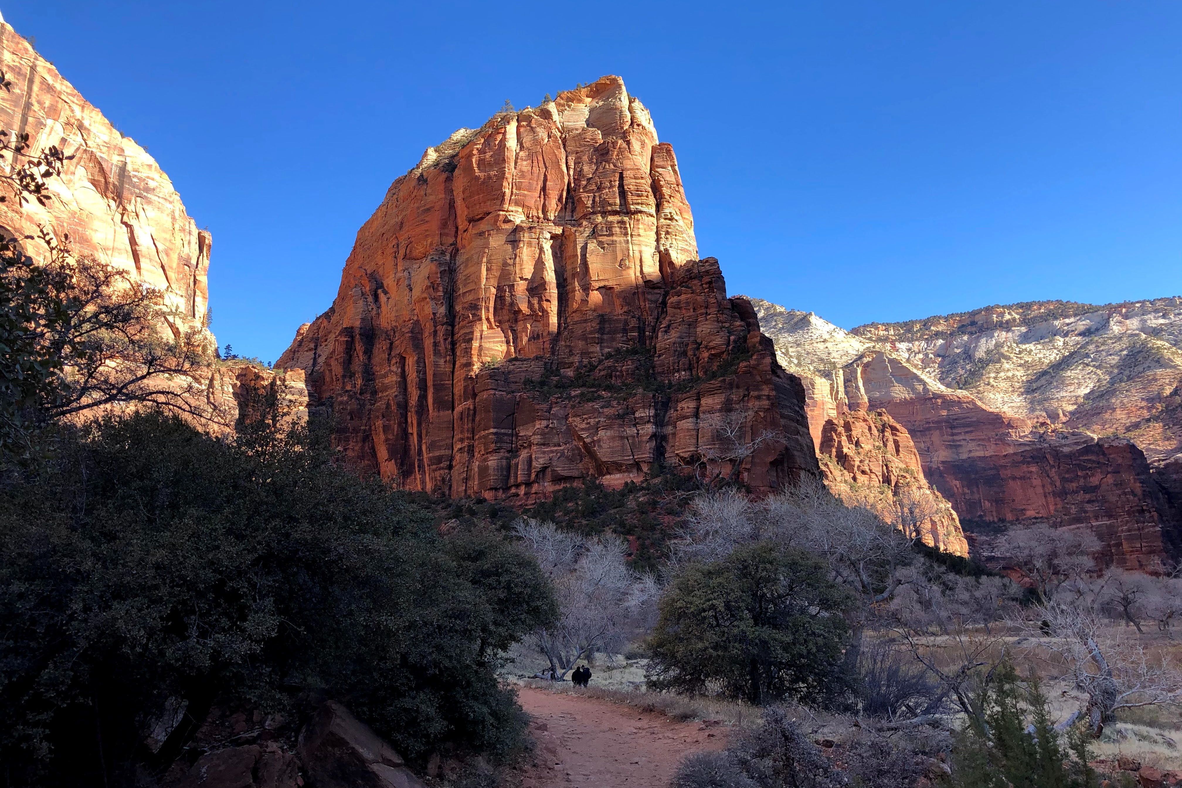 Orange canyon, Angel's Landing.