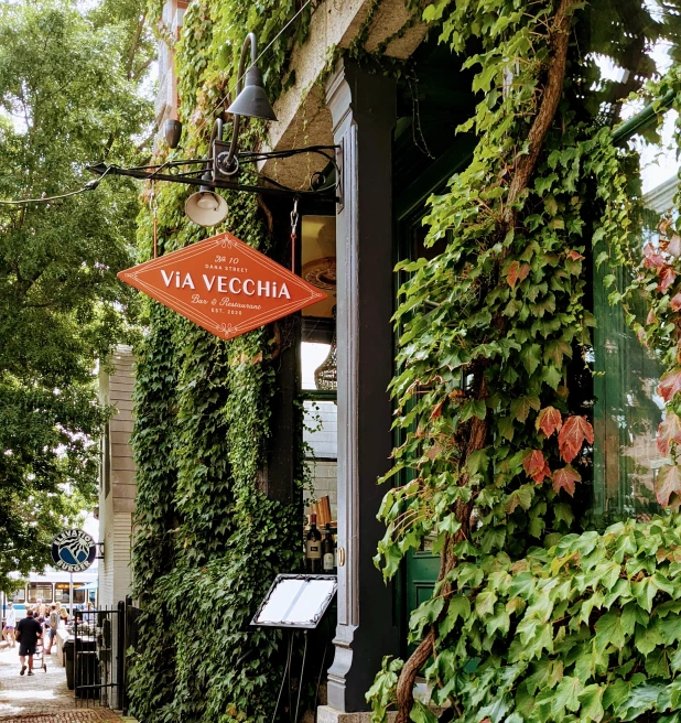 Green vines on side of building with orange sign during daytime