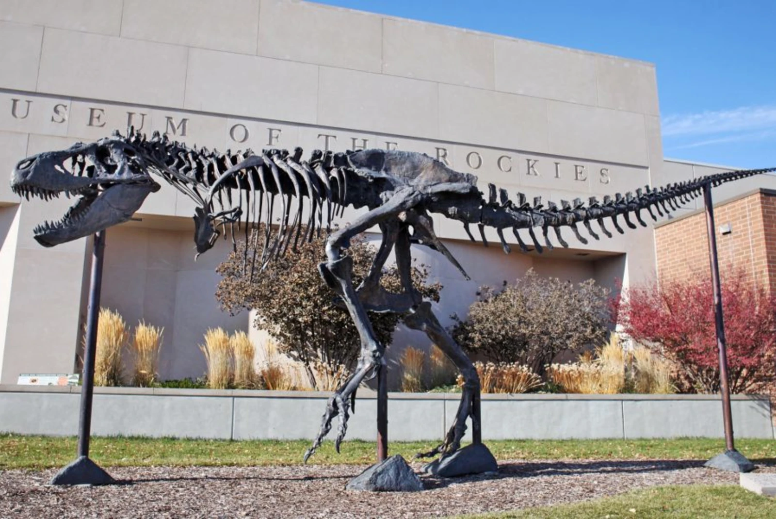 Museum of the Rockies is an enriching journey through natural history and cultural heritage, showcasing captivating exhibits in Bozeman, Montana.